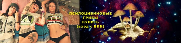 2c-b Абдулино