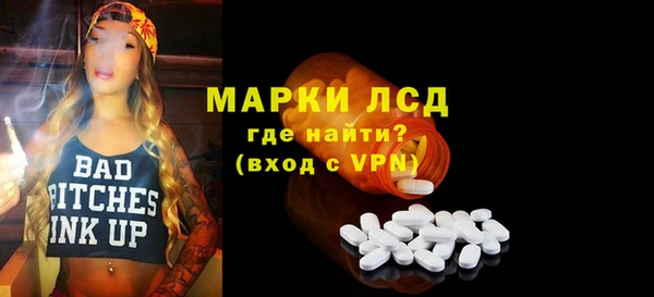 стафф Алзамай