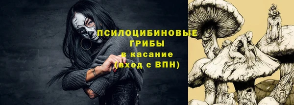 стаф Абинск