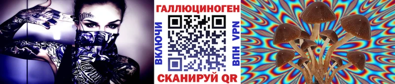 Галлюциногенные грибы GOLDEN TEACHER  Райчихинск 