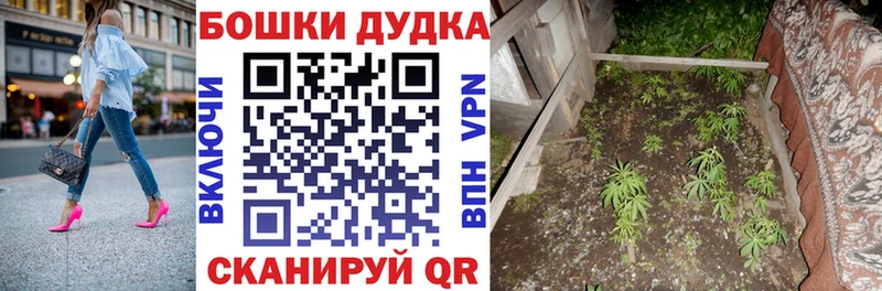 Конопля OG Kush  Райчихинск 